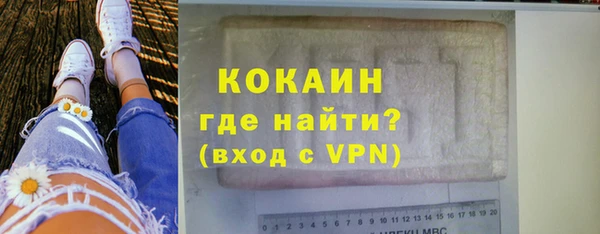 стафф Россошь