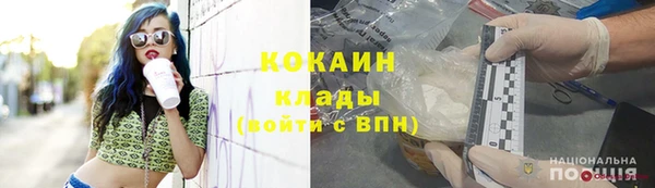 хмурый Верея