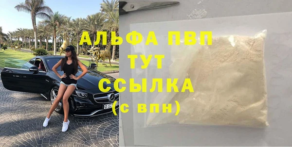 хмурый Верея