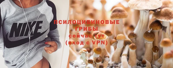 хмурый Верея