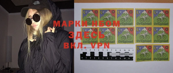 хмурый Верея