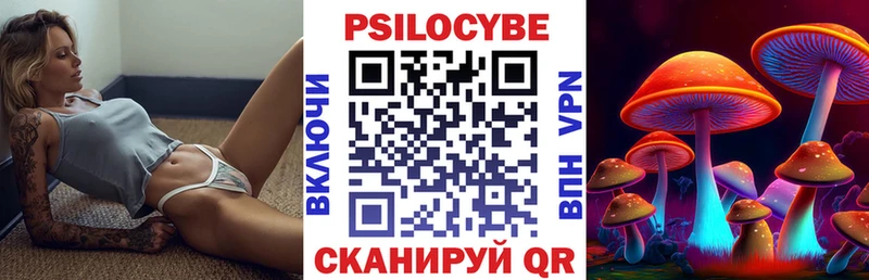 omg зеркало Вязники Галлюциногенные грибы MAGIC MUSHROOMS наркотики