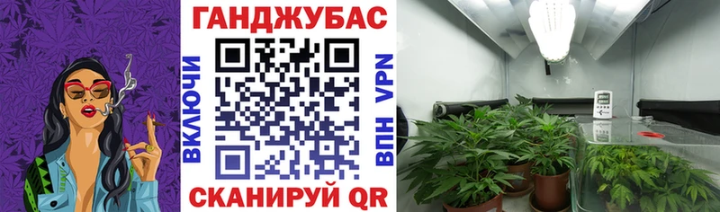 Марихуана конопля  нарко площадка состав  Вязники 